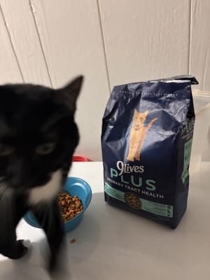 9Lives PLUS Urinary Tract Health Dry Cat Food