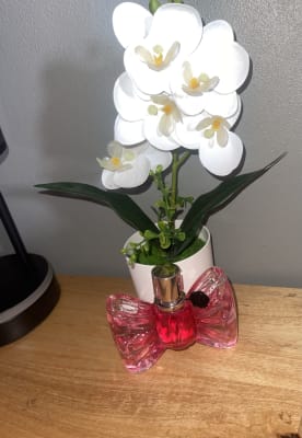View Gallery Image #5
