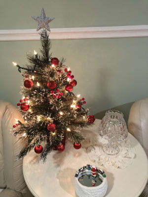 Big lots table top christmas trees Clearance