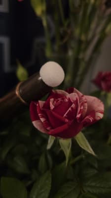 View Gallery Image #5