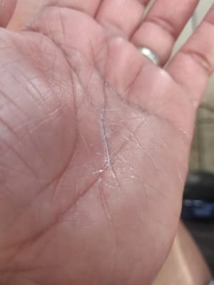 View Gallery Image #2