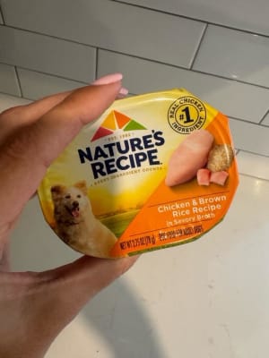 Nature s Recipe Chicken Brown Rice in Broth Wet Dog Food