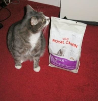 Royal canin venison sales cat