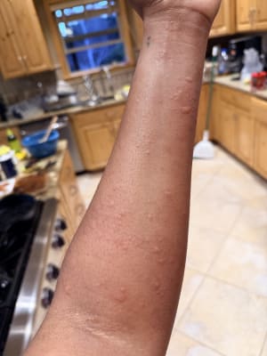 View Gallery Image #2