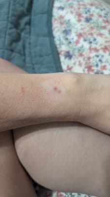 View Gallery Image #3