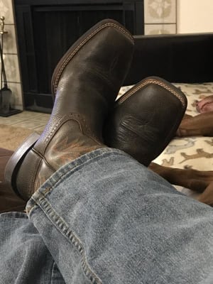 Ariat 10019958 online