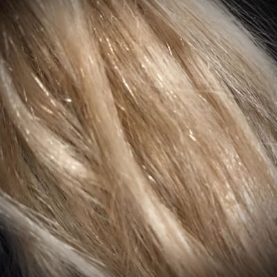 View Gallery Image #10