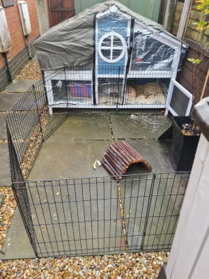 Foxglove thermal hutch cover online