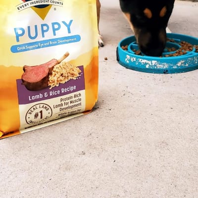 Nature s Recipe Puppy Lamb Rice Recipe Dry Dog Food