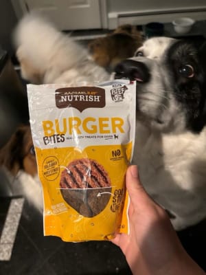 Nutrish burger bites outlet