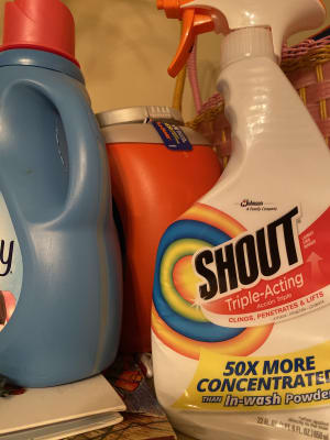Shout Triple-Acting Laundry Stain Remover, 22 fl oz/650 mL