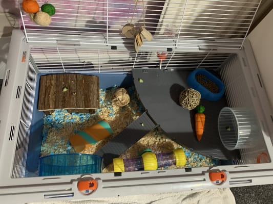 Rose kleur vod Blaast op Ferplast Criceti 15 Syrian Hamster Home | Pets At Home