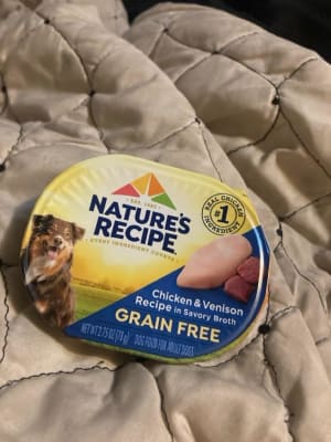 Nature s Recipe Grain Free Chicken Venison Recipe in Savory Broth Wet Dog Food Post Consumer Brands