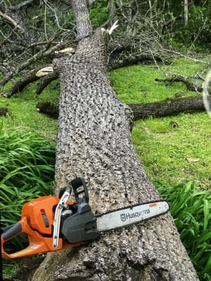 Husqvarna 545 Mark II 20-In Gas Chainsaw - Chainsaws