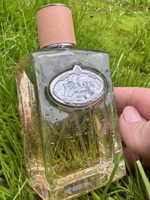 View Gallery Image #12