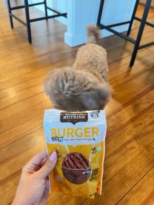 Nutrish Burger Bites Beef Recipe With Bison Dog Treats Nutrish