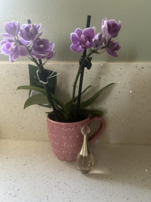 View Gallery Image #1