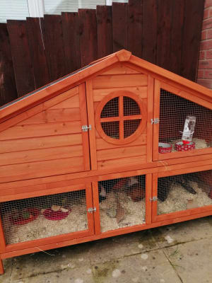 Pets at Home Foxglove Guinea Pig Hutch Brown Pets At Home