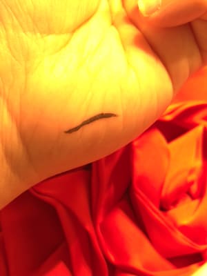 View Gallery Image #14