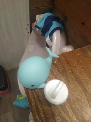 View Gallery Image #7