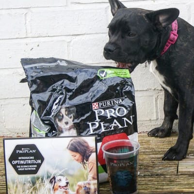 Purina pro plan toy sale breed puppy