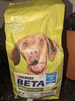 Pets at home top beta dog food