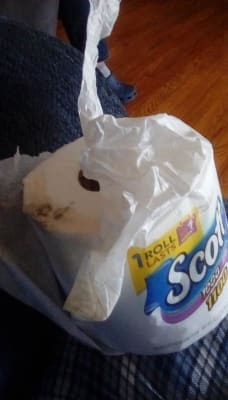 Scott Scott 1000 Sheets Per Roll Toilet Paper Bath Tissue Big Lots