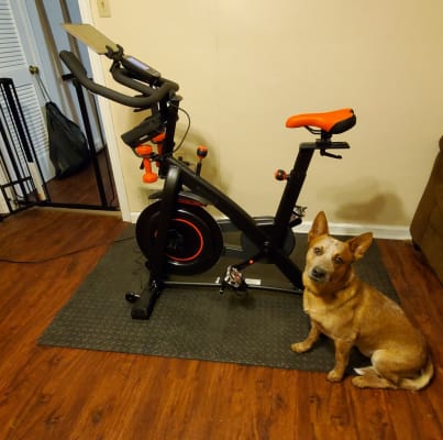 C6 Bike Works With Peloton Zwift Apps BowFlex