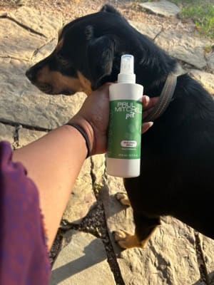 View Gallery Image #7