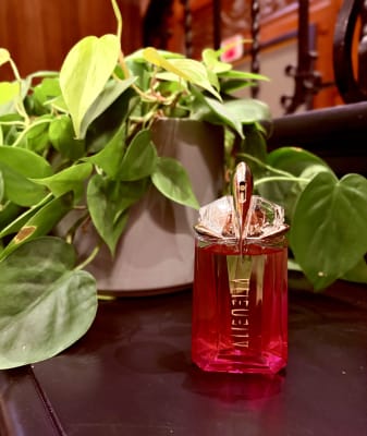 View Gallery Image #7