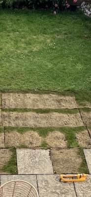 Classic Fresh Lawn Turf Roll 1 sq m coverage Homebase