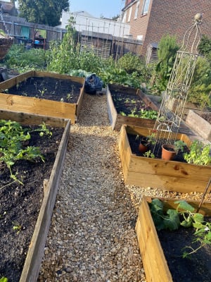 Wickes Solent Gold Gravel - Major Bag 