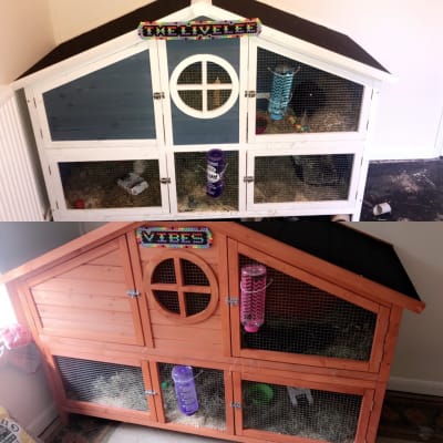 foxglove rabbit hutch
