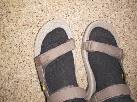 Teva sanborn universal review discount