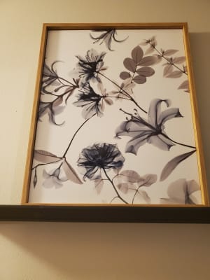 Pressed Flower Double Beaded 10 x 16 Framed Art | Big Lots