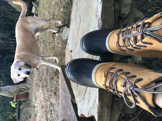 Sorel Slimpack™ II Leather Boot - Clothing in Quarry | Buckle