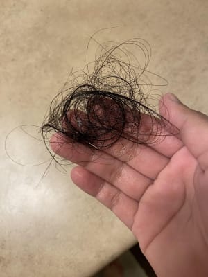 View Gallery Image #10