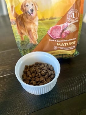 Nature s Recipe Mature Lamb Brown Rice Recipe Dry Dog Food