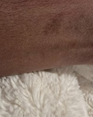 View Gallery Image #15