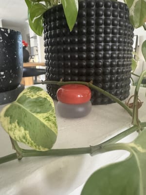 View Gallery Image #6