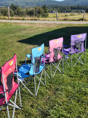 Big lots camping shop chairs