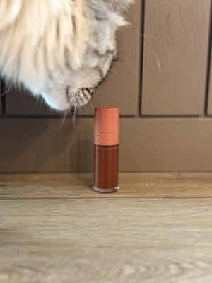 View Gallery Image #5