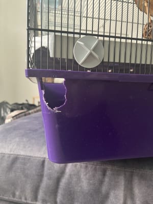 Pets at Home Wire Hamster and Mouse Cage Purple X Large Pets At Home