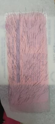 View Gallery Image #11