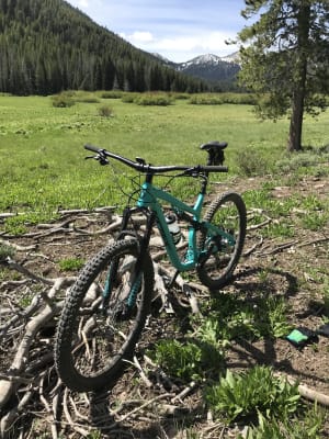 salsa horsethief slx