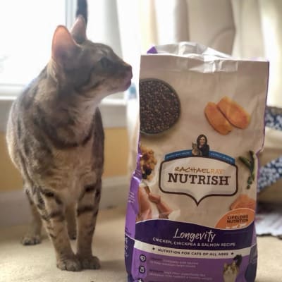 Nutrish Longevity Chicken Chickpea Salmon Dry Cat Food