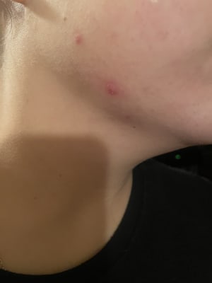 View Gallery Image #3