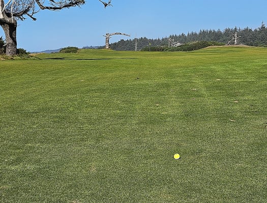 Z-Star XV Divide Golf Balls | Dunlop Sports US