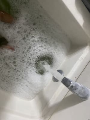 View Gallery Image #7