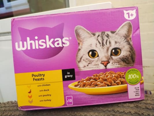 Cat food price top